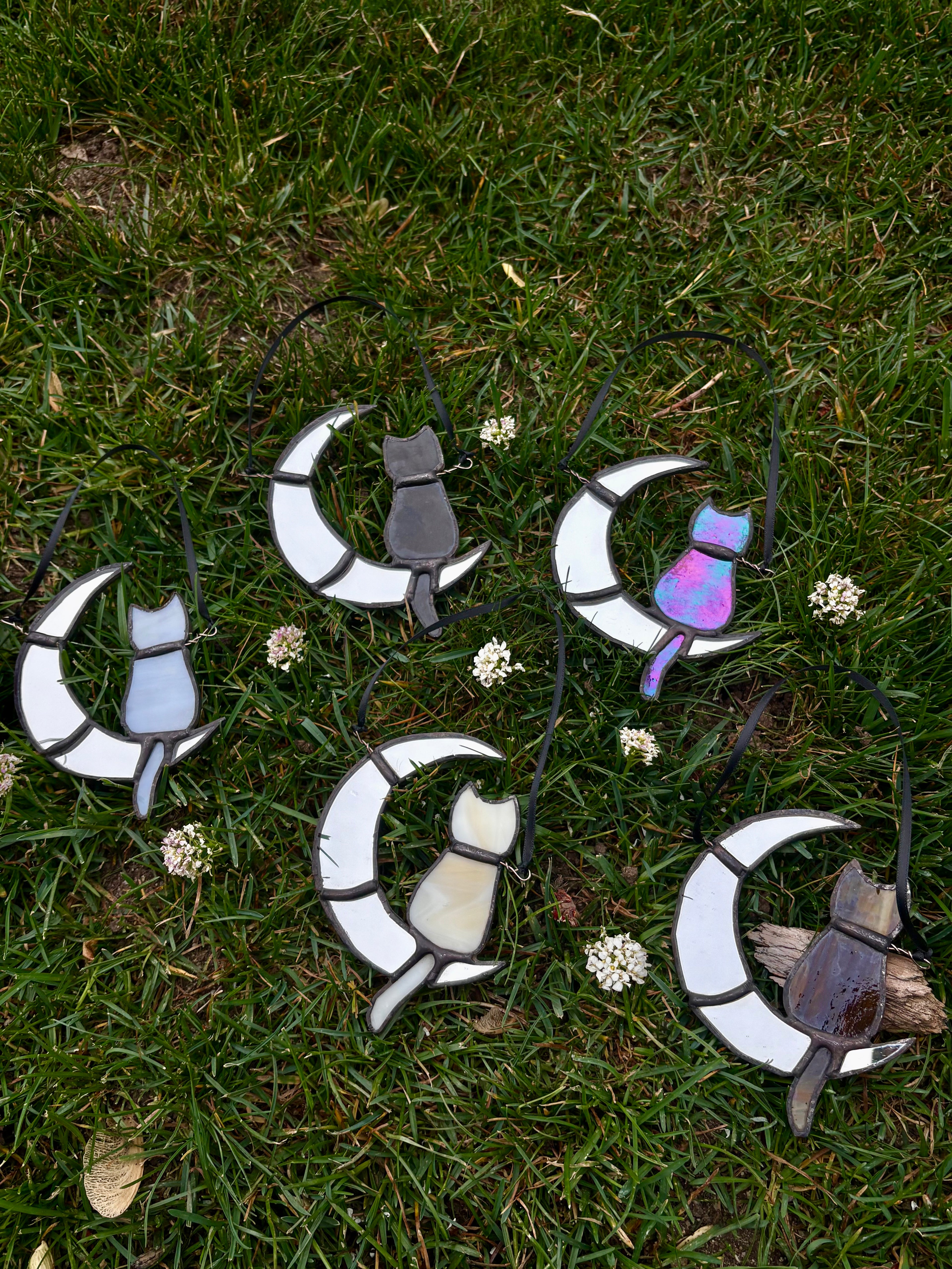 Crescent Cats